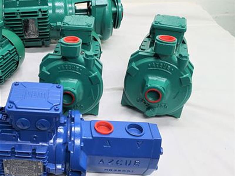 Azcue Pumps